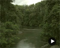 Trailer Manusela National Park